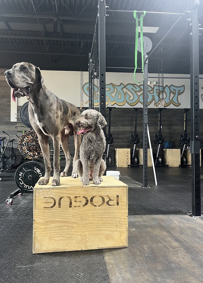 CrossFit Sea Dog in Jupiter