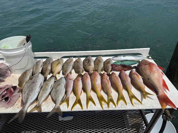 Deep Sea Fishing in Jupiter