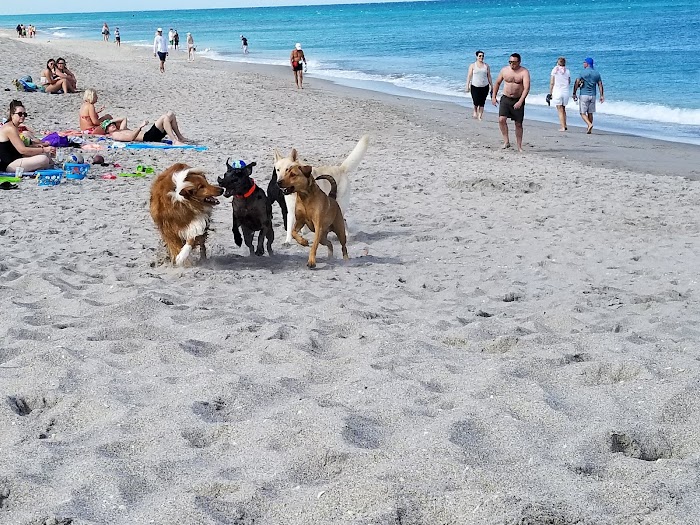 Jupiter Dog Beach in Jupiter