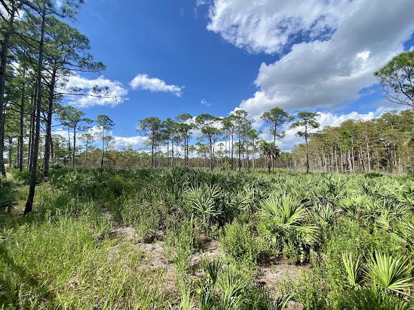 Jonathan Dickinson State Park photo