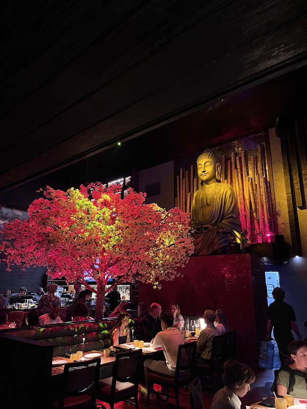 Blackbird Modern Asian photo