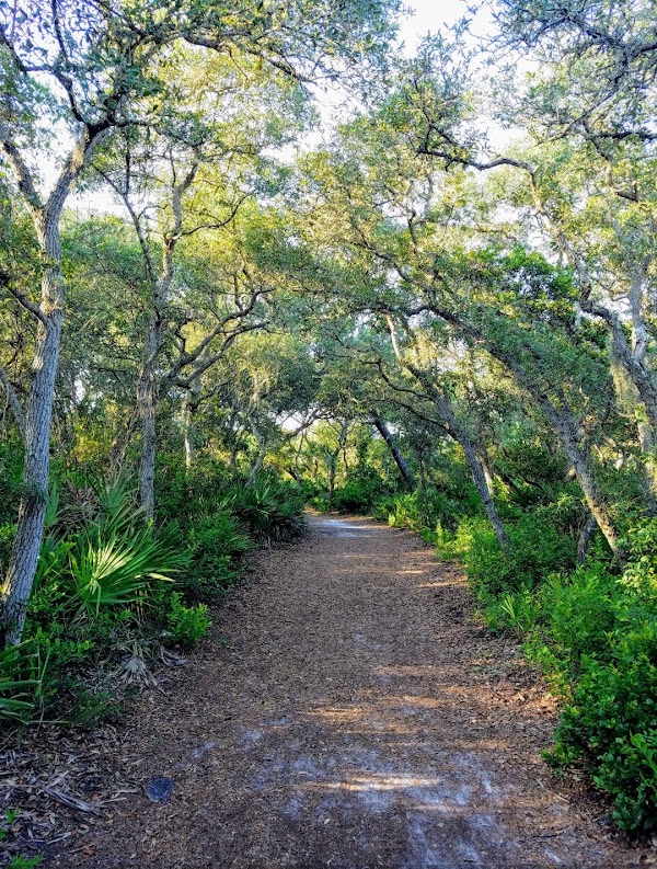 Blowing Rocks Preserve photo