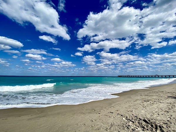 Jupiter Dog Beach photo