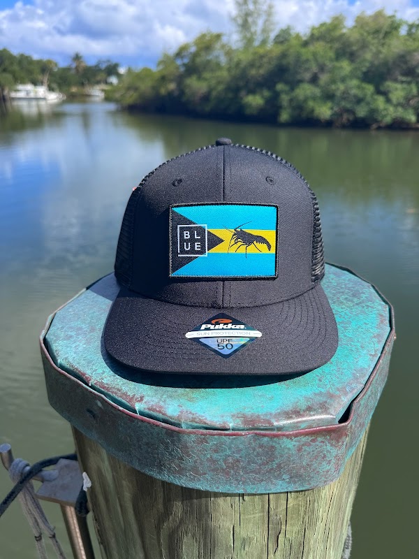 Blueline Surf & Paddle Co photo