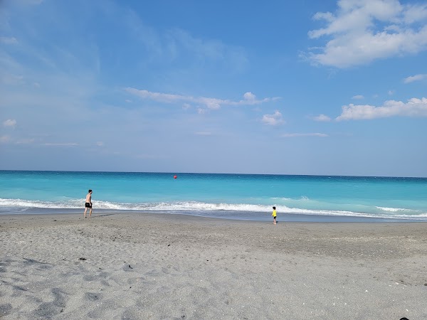 Jupiter Dog Beach photo