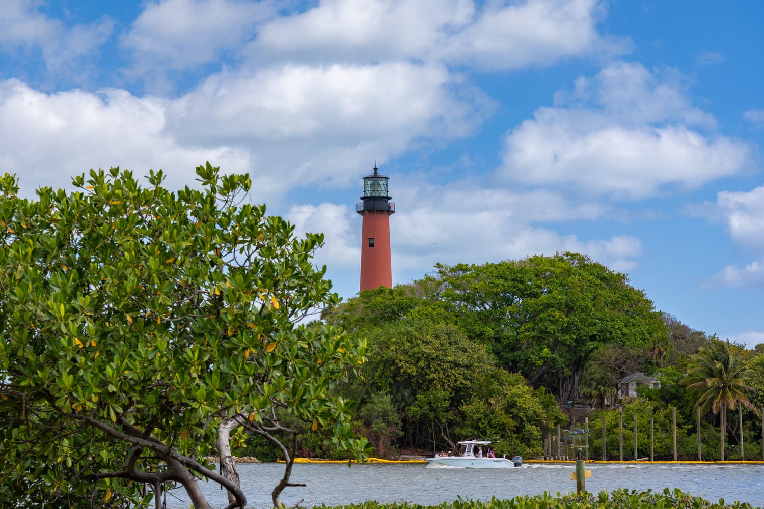 The Jupiter Inlet Lighthouse rising above the coastline